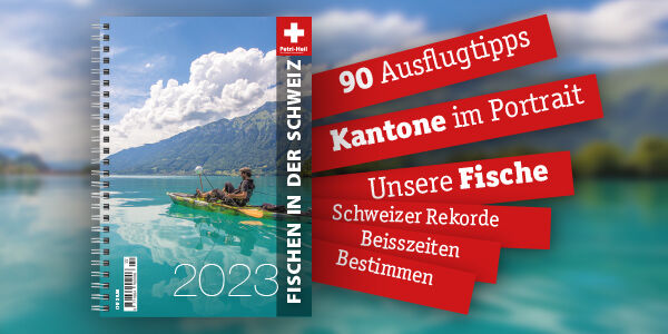 testbild