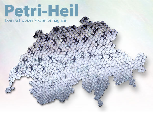 testbild