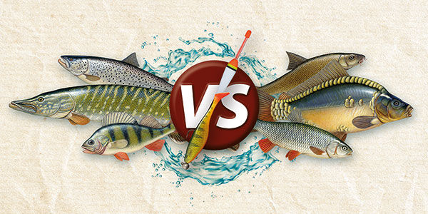 testbild