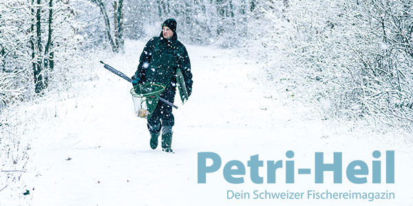 testbild