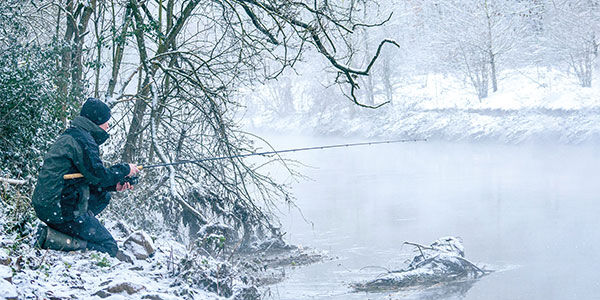 testbild