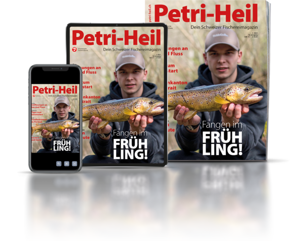testbild