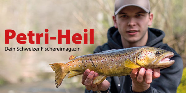 testbild