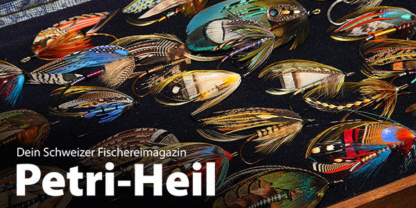 testbild
