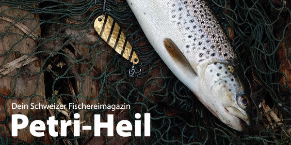 testbild