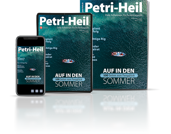 testbild