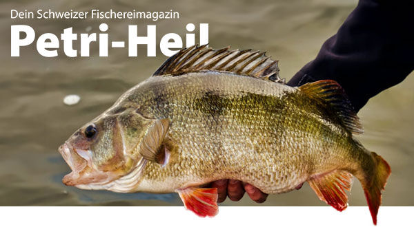 testbild