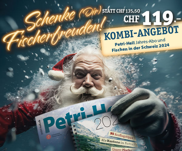 testbild