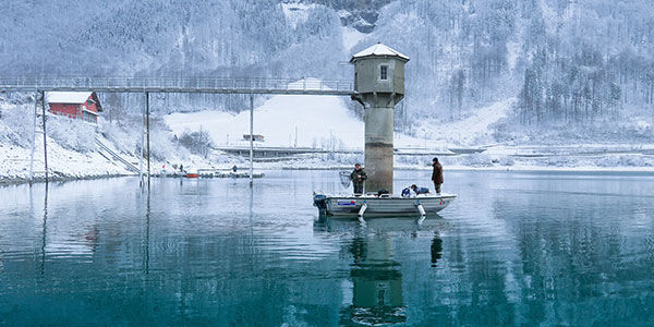 testbild