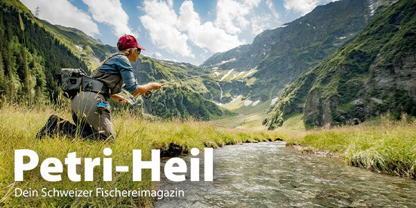 testbild