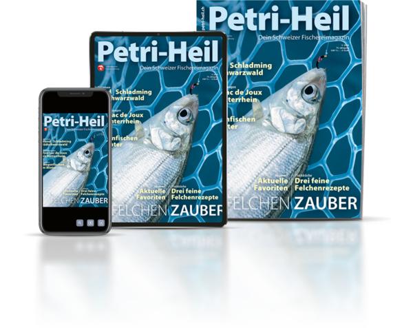 testbild