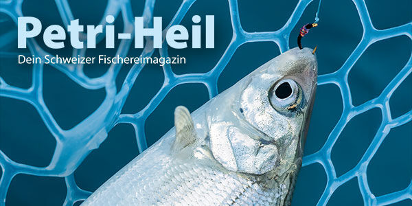 testbild