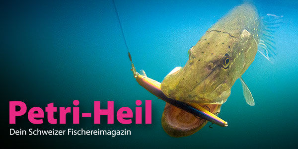 testbild