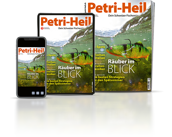 testbild