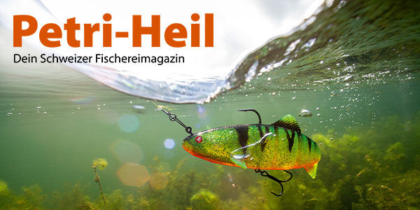 testbild