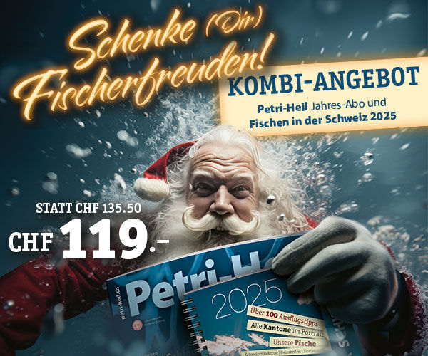 testbild