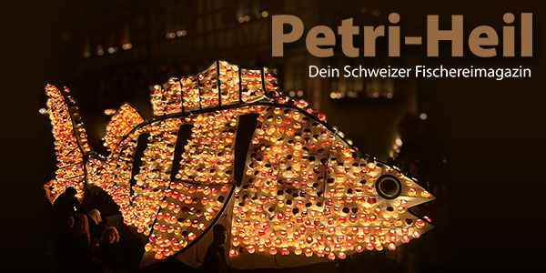 testbild