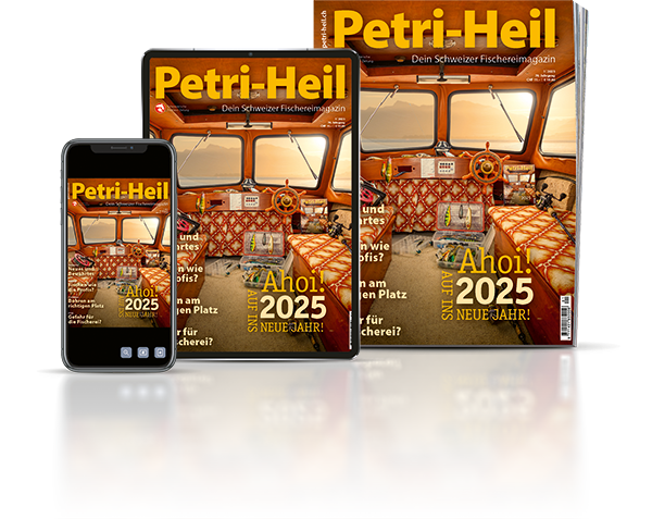 testbild