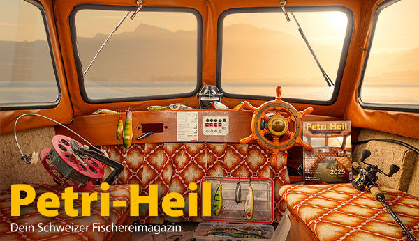 testbild