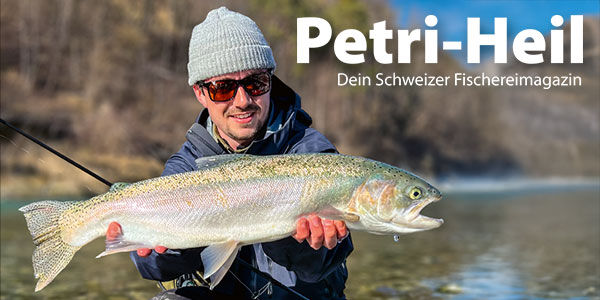 testbild