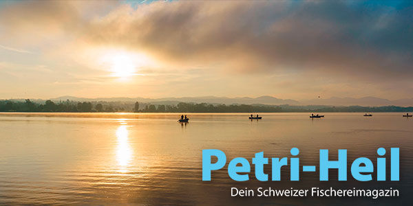 testbild