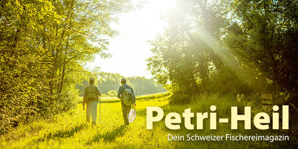 testbild
