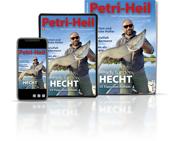 testbild