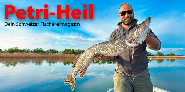 testbild