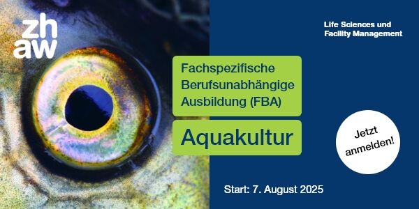 testbild