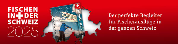 testbild
